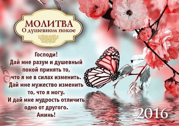 пожелание гармонии и душевного равновесия. душевного спокойствия и гармонии пожелание. пожелания душевного спокойствия и гармонии. душевного спокойствия и гармонии пожелание. пожелание гармонии и душевного равновесия.