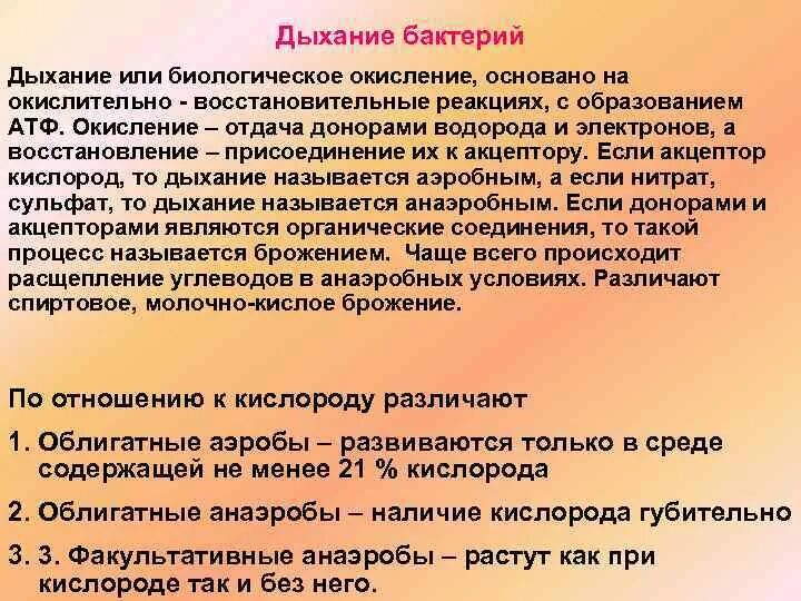 Типы дыхания бактерий микробиология. Типы дыхания микроорганизмов. Особенности дыхания бактерий. Классификация бактерий по типу дыхания. Особенности дыхания бактерий.