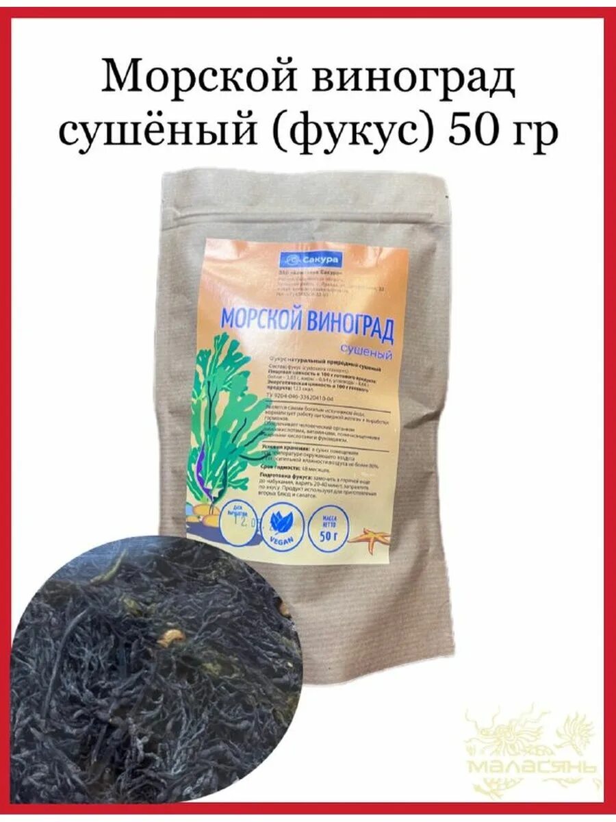 Морской виноград сушеный. Курильский морской виноград. Фукус морской виноград. Морской виноград — уми будо. Корейский виноград водоросли.
