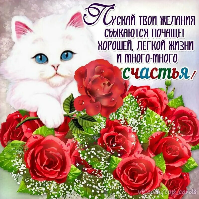 Желаем счастья. Международный день счастья поздравление. Международный день счастья. С днем счастья. Красивые букеты с пожеланиями счастья.