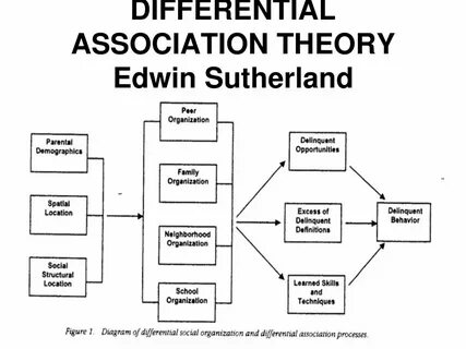 Associate example