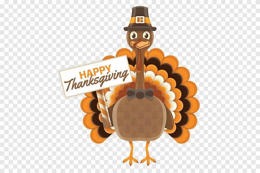 День благодарения в сша помилование индейки. Смешная индейка thanksgiving. Индейка на день благодарения рисунок. День благодарения. День благодарения индюки.