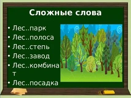 Старый лес со словами