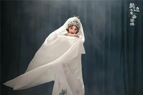 Зимняя бегония дорама