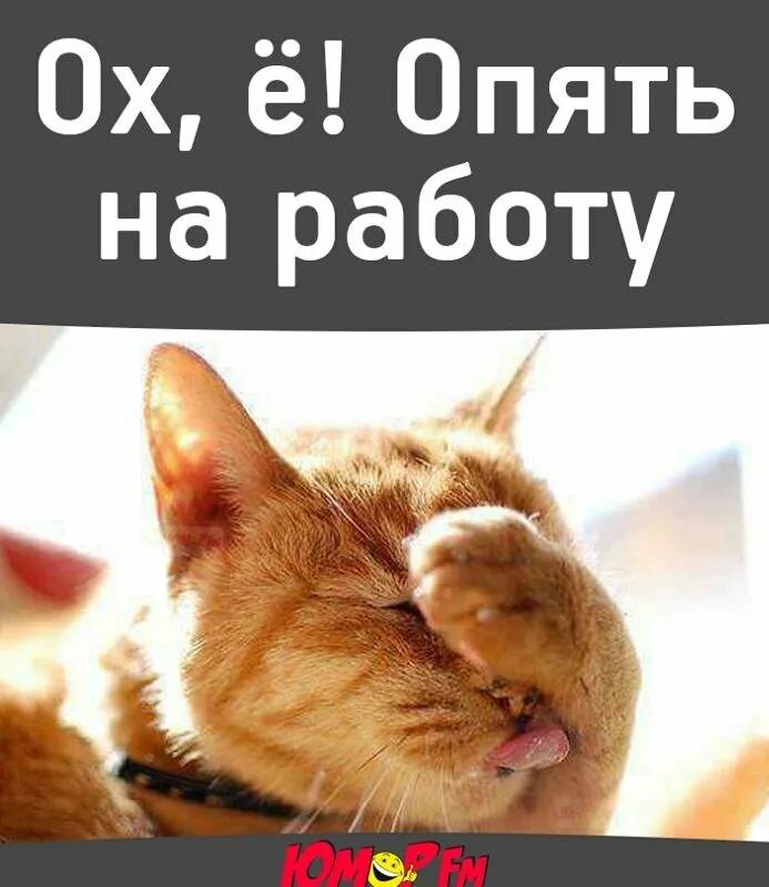 Прикольные плакаты. Высказывания про отпуск. Советские плакаты скорей бы понедельник. Плакат скорее бы завтра на работу. Снова на работу.