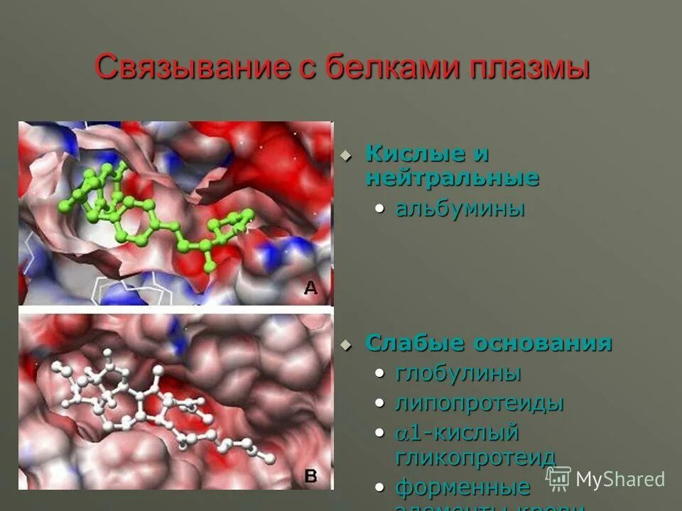 Глобулин это