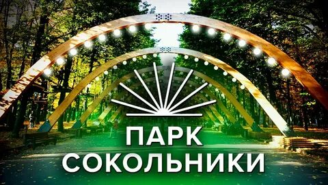Парк сокольники 18 августа