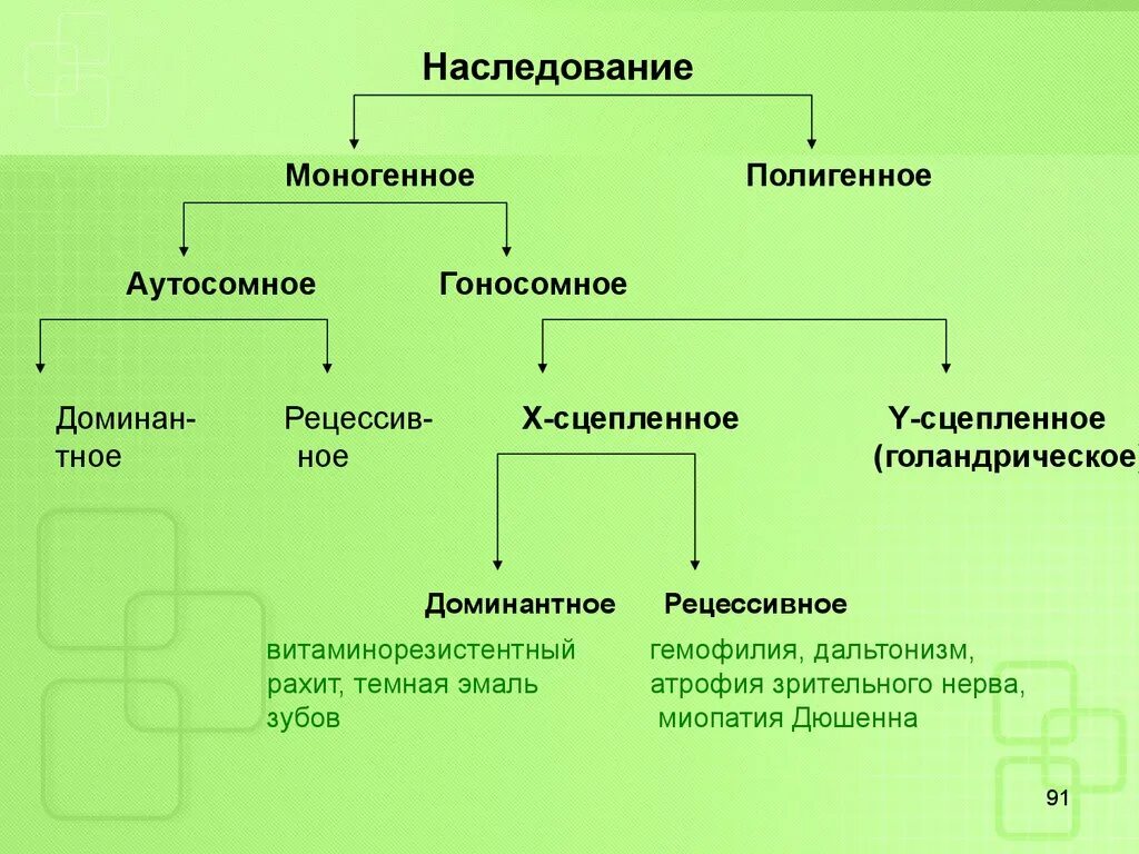 Моногенный тип наследования