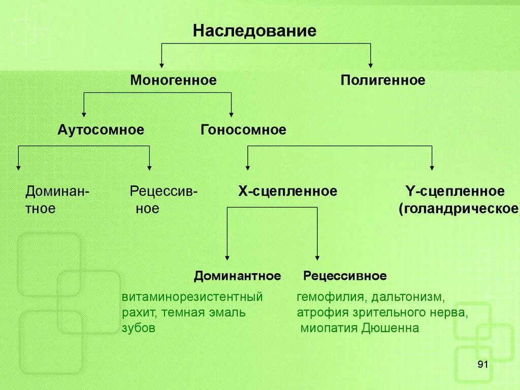 Моногенное и полигенное наследование признаков. Моногенное наследование и полигенное наследование. Типы наследования признаков моногенное полигенное. Полигенное наследование схема. Наследственные признаки биология