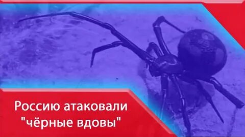 Черные атакуют