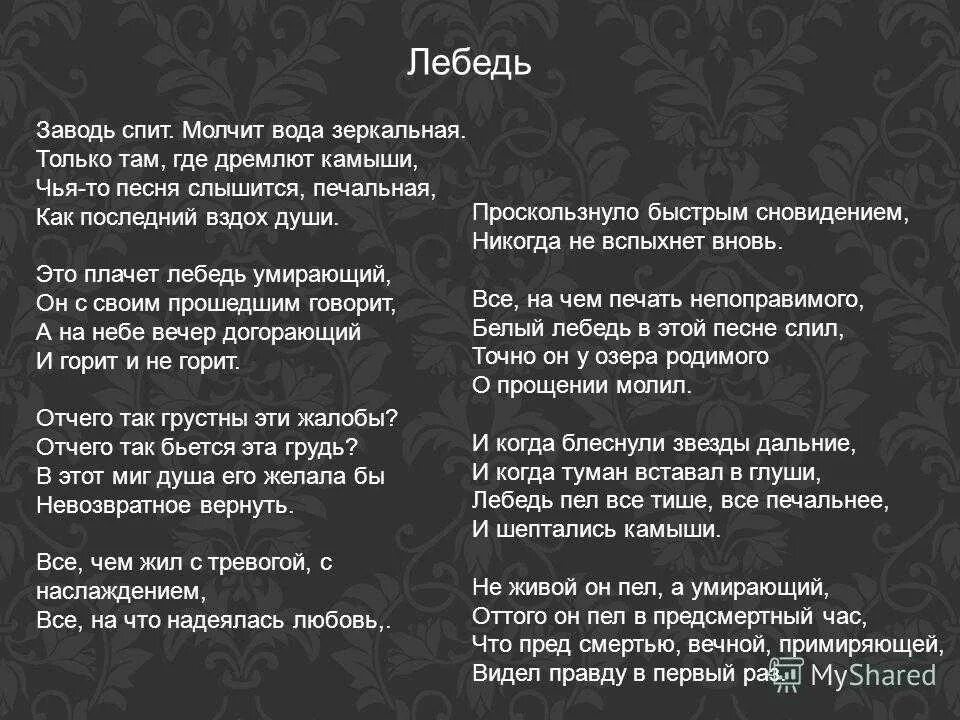 Бальмонт песни. Бальмонт лебедь. Стих лебедь Бальмонт. Белый лебедь Бальмонт.