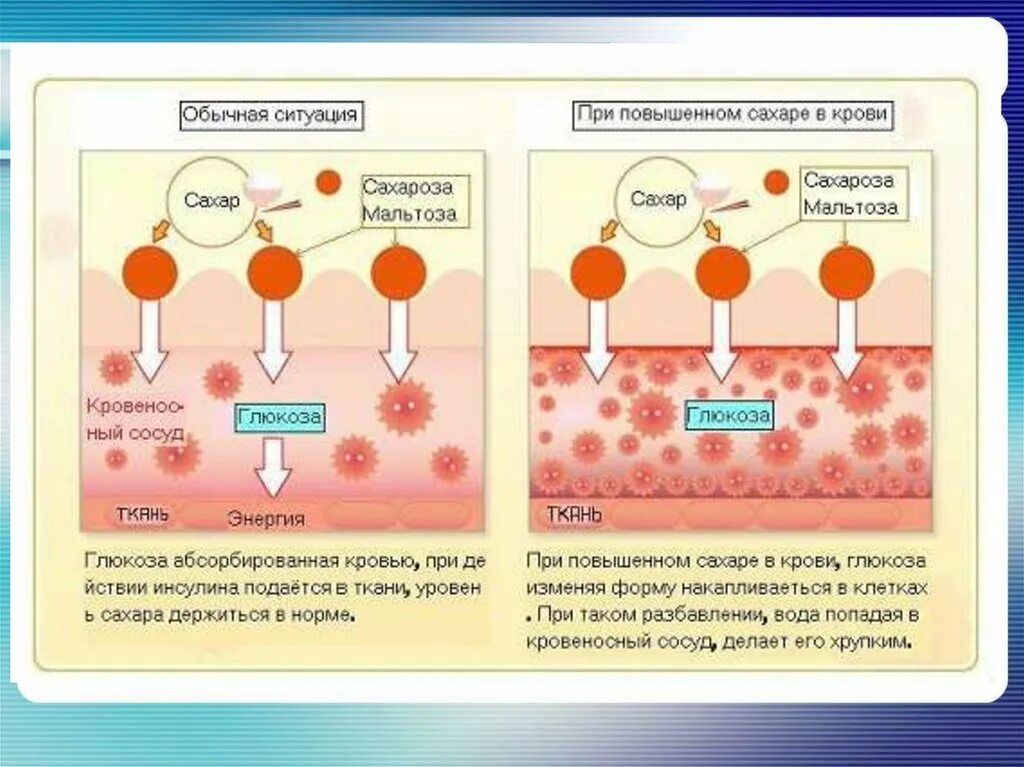 Почему понижена глюкоза. Повышен сахар в крови. Повышение сахара. При повышении сахара в крови. Сазар в крови повышенный.