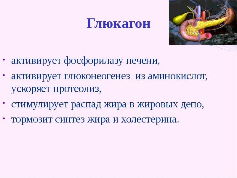Как инсулин влияет на гликоген