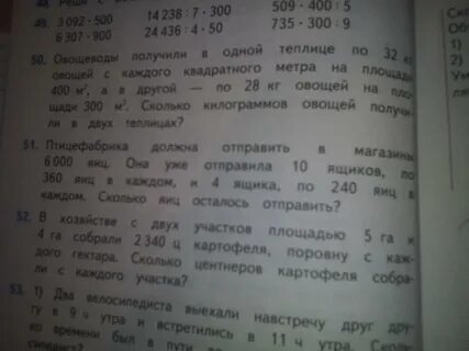 В сумке 5 кг овощей