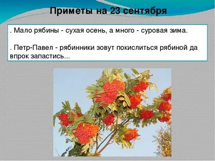 Приметы связанные с осенью