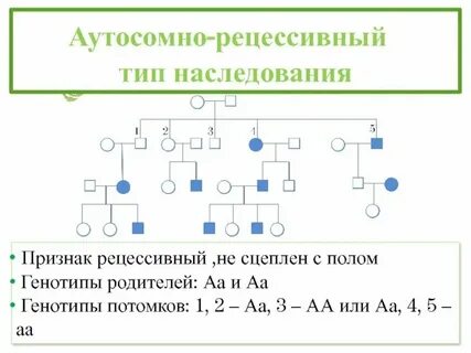 Рецессивными признаками называются
