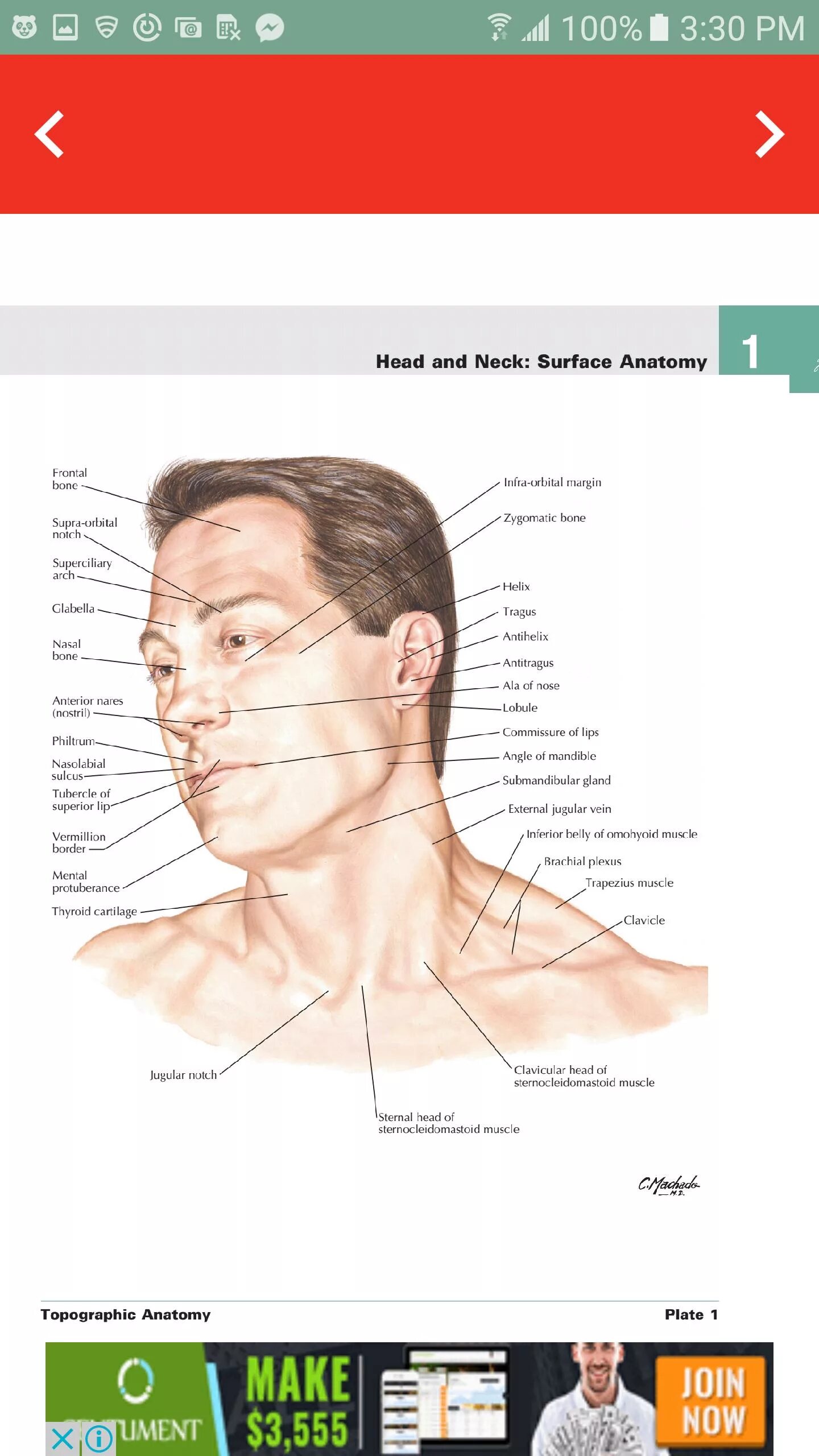 Atlas of human anatomy netter. Anatomy atlas. sternal head. анатомия авторы. атлас анатомия ахмедов.