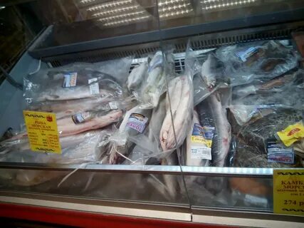 Продам рыба москва