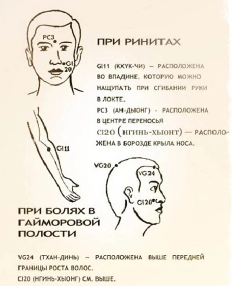 Как пользоваться головой