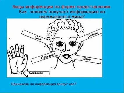 Рисунки разновидности