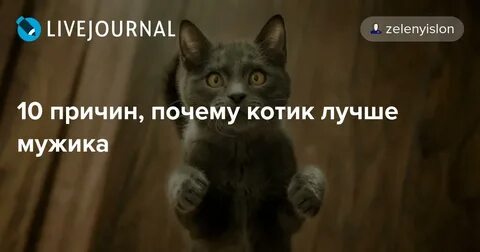 Почему коты хорошие