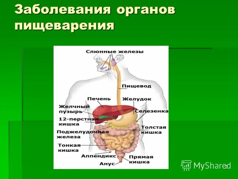 Жкт группа. Заболевания пищеварения. Заболевания пищеварительных органов. Нарушение пищеварительной системы. Заболевания систем органов пищеварения.