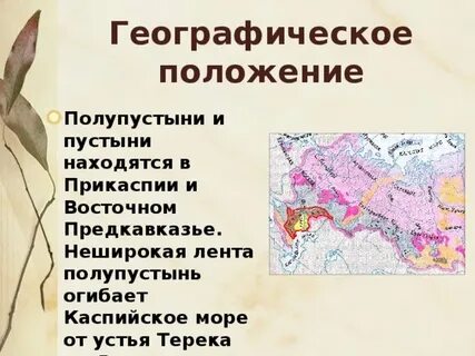 Географическое положение пустыни 4 класс