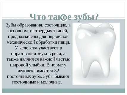 Зубы участвуют в
