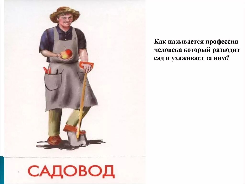 Садовод профессия для детей. Садовод профессия. Профессия садовник для детей. Профессия Садовод картинки.