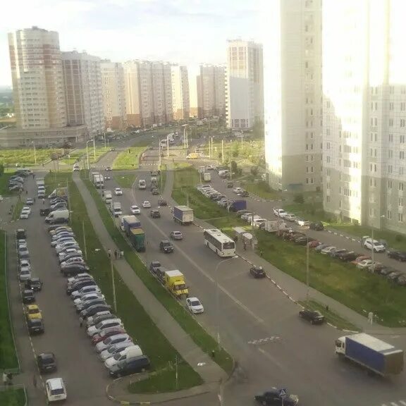 Прямокрылые представители саранча. Автобусы от метро анино. Кузнечики урала. Дальневосточный кузнечик. Кузнечики малыши.
