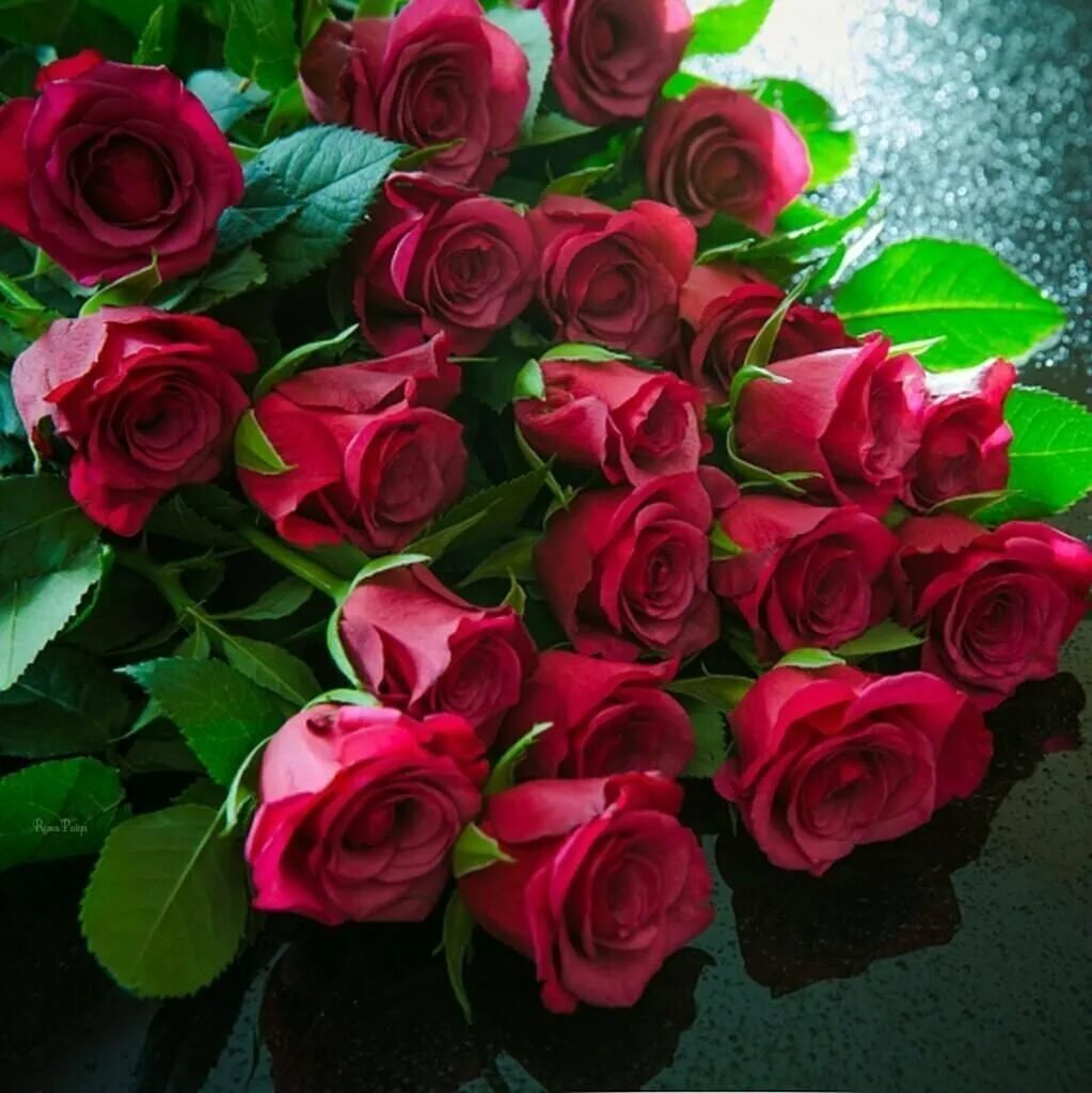 Красивый мерцающий букет роз. Красивые цветы. Шикарные цветы. Красивый букет роз. Роскошные розы.