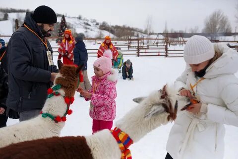 Белый колодец альпака