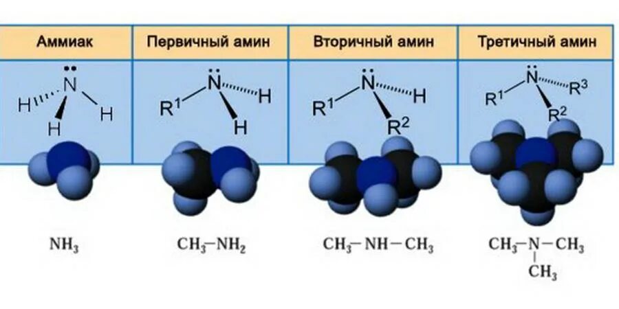 Строение аммиака и Аминов. Амины Тип химической связи. Амины первичные вторичные третичные структуры. Аммиак первичный Амин.