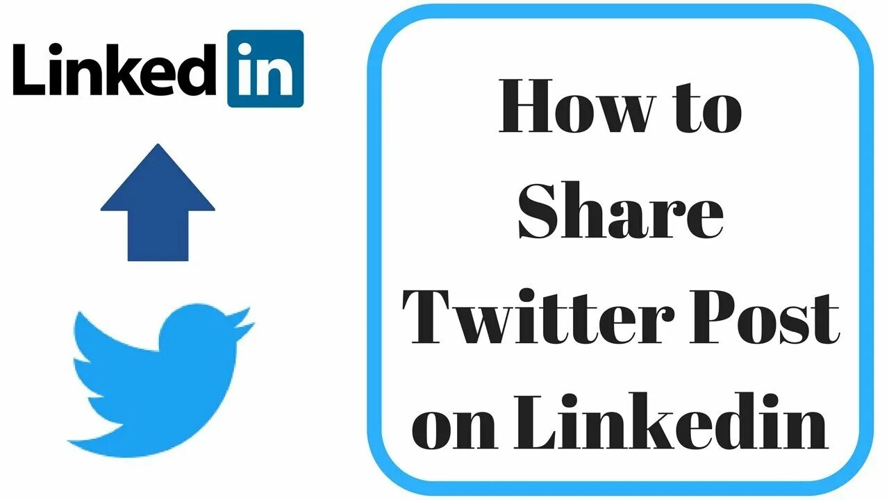 Share twitter. Твиттер. Twitter share link. Пост в твиттере шаблон. Twitter share link.