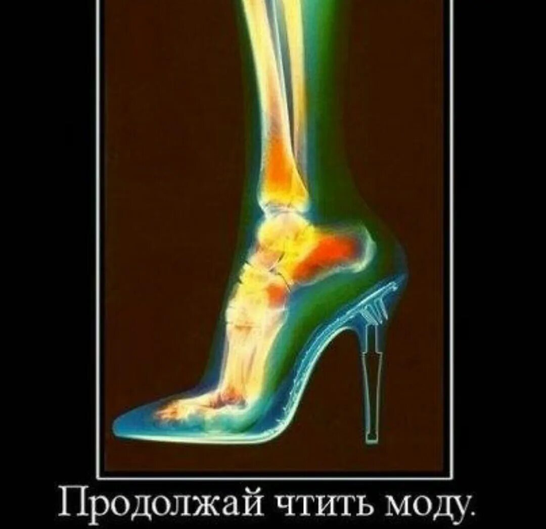 Ноги цитаты