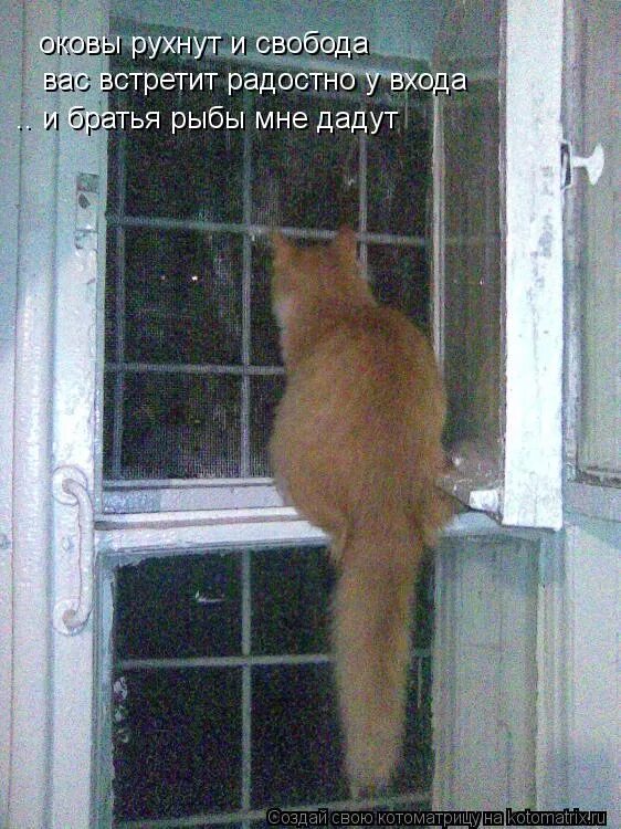 Сибирь во глубине сибирских руд пушкин. И свобода нас встретит радостно. С. Стихи свобода нас встретит радостно у входа и братья меч нам отдадут. И свобода нас встретит радостно.