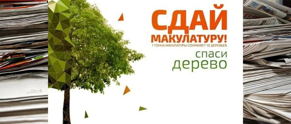 Эко марафон Сдай макулатуру Спаси дерево. Сбор макулатуры акция Спаси дерево. Собери макулатуру сохрани дерево. Соберем макулатуру сохраним деревья. Сдавай бумагу рф