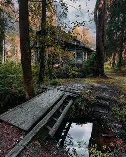 Заброшенное ленинградская область