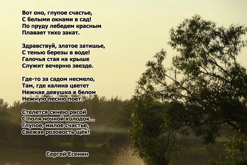 Стихотворение вот оно глупое счастье. Вот оно глупое счастье Есенин. Глупое счастье Есенин. Есенин стихотворение вот оно глупое счастье. Стихотворение глупое счастье