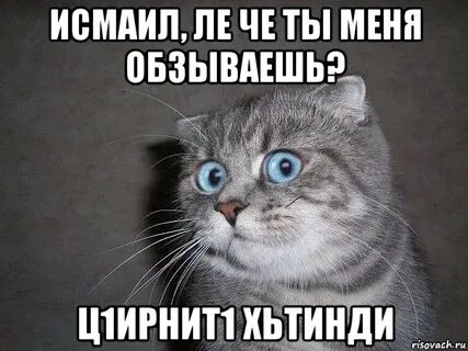 Ну обзывай