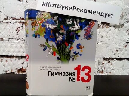 Гимназия номер 13 жвалевский