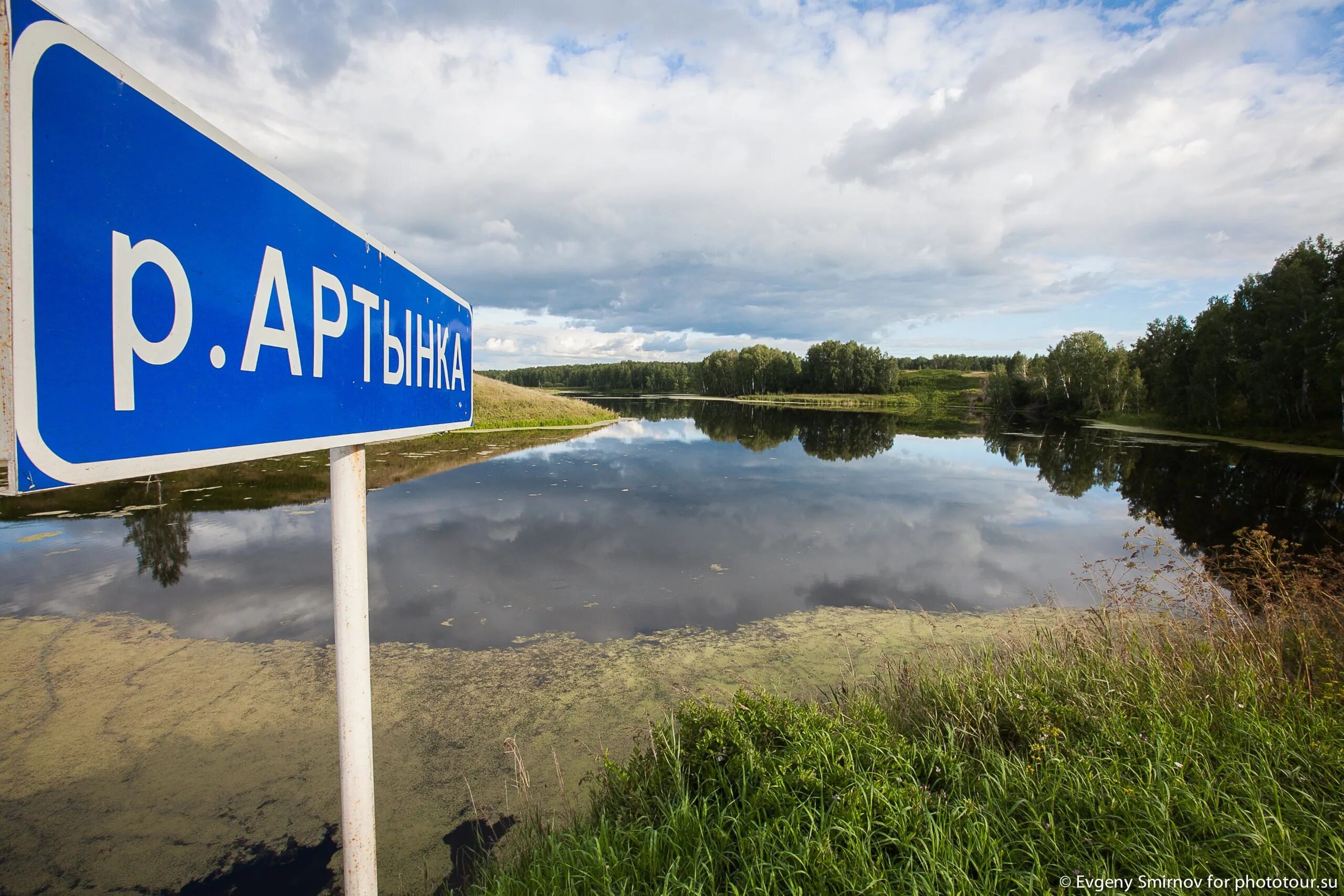 Речка Артынка. Река Артынка. Река Артынка Омская область. Костино Омская область.