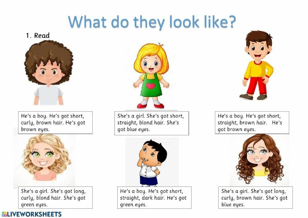 What for do they. What do you look like для дошкольников. Картинки what does he look like. Appearance картинки. What does she look like ответ.