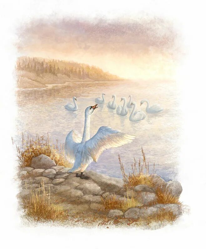 приёмыш мамин сибиряк. д. иллюстрация к рассказу приемыш мамин сибиряк. м. приёмыш мамин сибиряк.