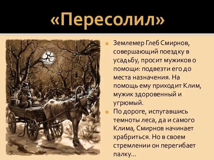 Пересолил. Пересолил кратко. Чехов Пересолил краткое содержание. Пересолил Чехов читать полностью. А п чехов пересолил