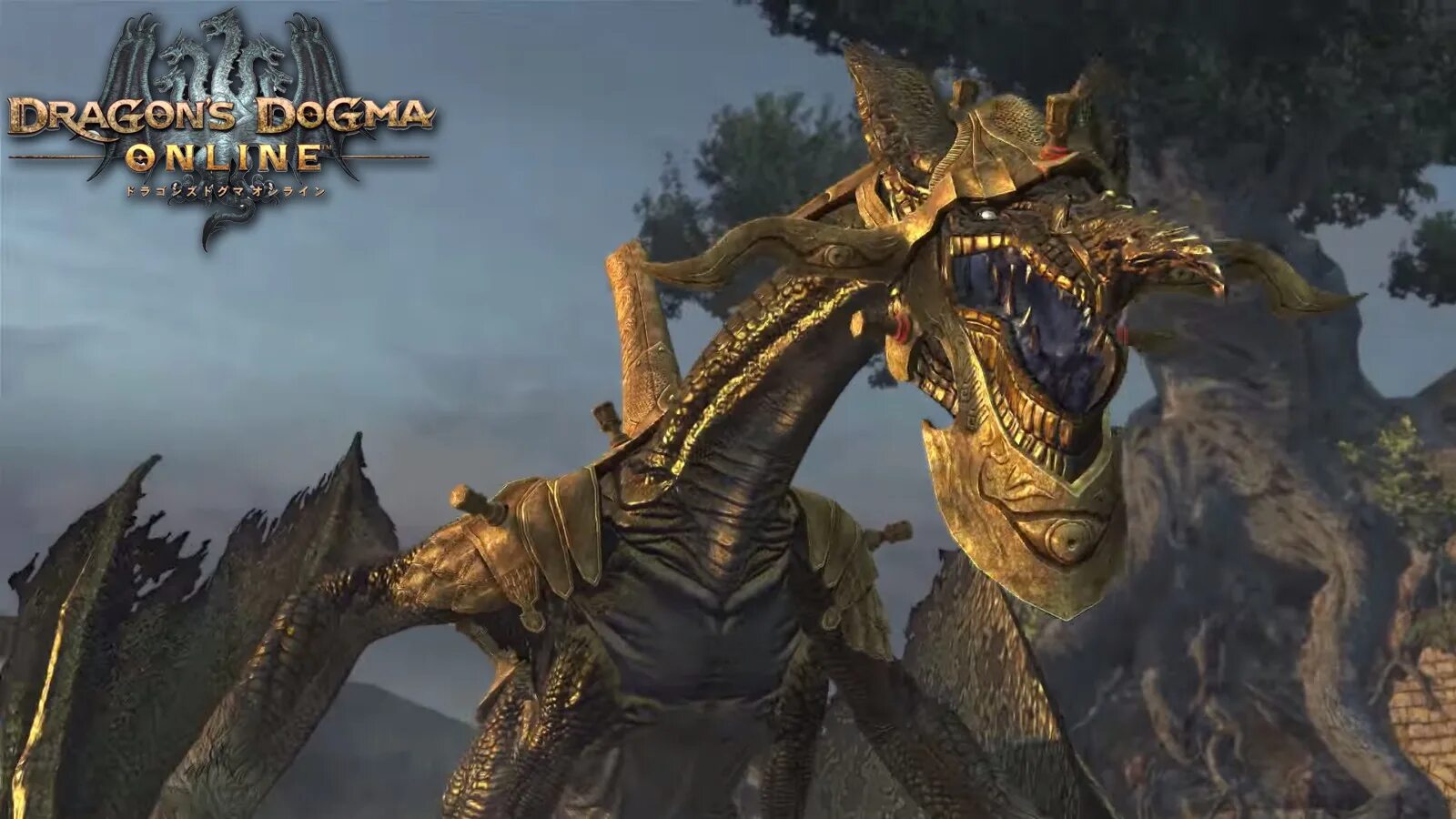 Dragon s dogma 2 заключенный законник. Dragon's Dogma 2 сфинкс. Dragons gogma 2.