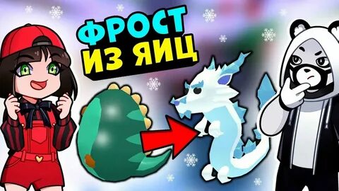 Стой фрост