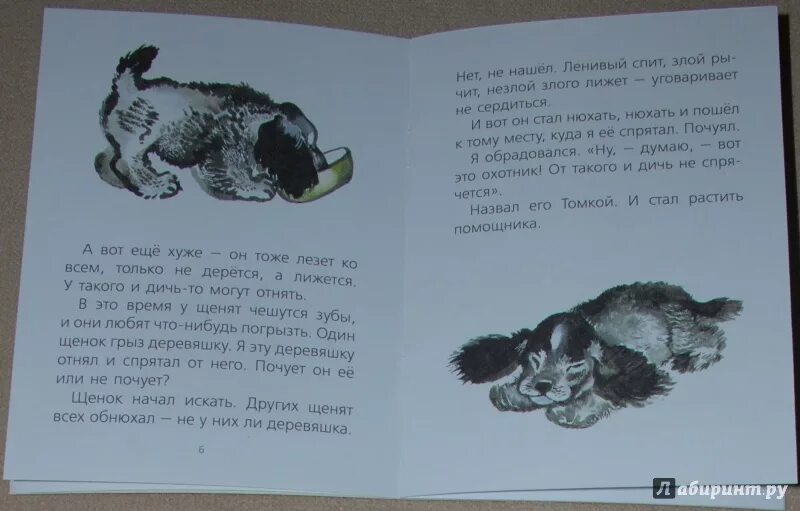 Чарушин про Томку книга. Чарушин рассказы про Томку. Рассказ е Чарушина про Томку. Рассказы про томку