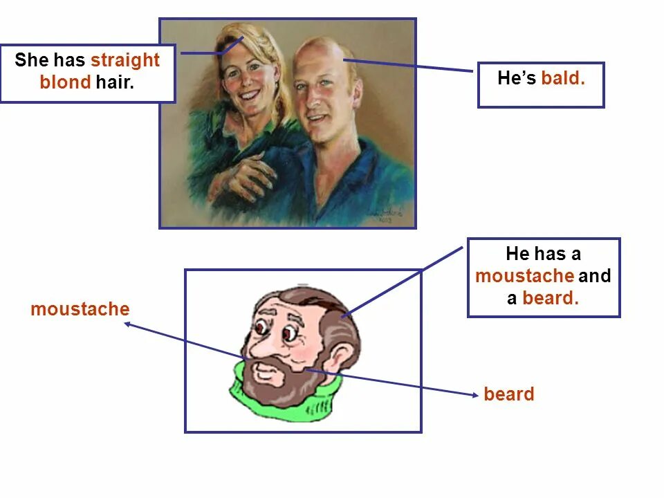 He has a beard. Описание внешности на английском. he has a beard and a moustache. he has got a beard. appearance and personality.