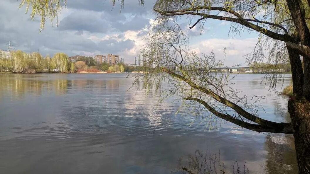 Подъем воды в клязьме. Половодье на Клязьме. Паводок Электросталь. Паводок на Клязьме. Половодье на Клязьме в 2022 Собинка.